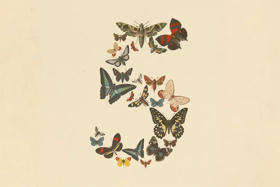 Claude Fable 5 на Anthropic